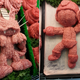 Illustration for article titled Pokémon, Sonic, And Mega Man, All Made Out Of... Meat?